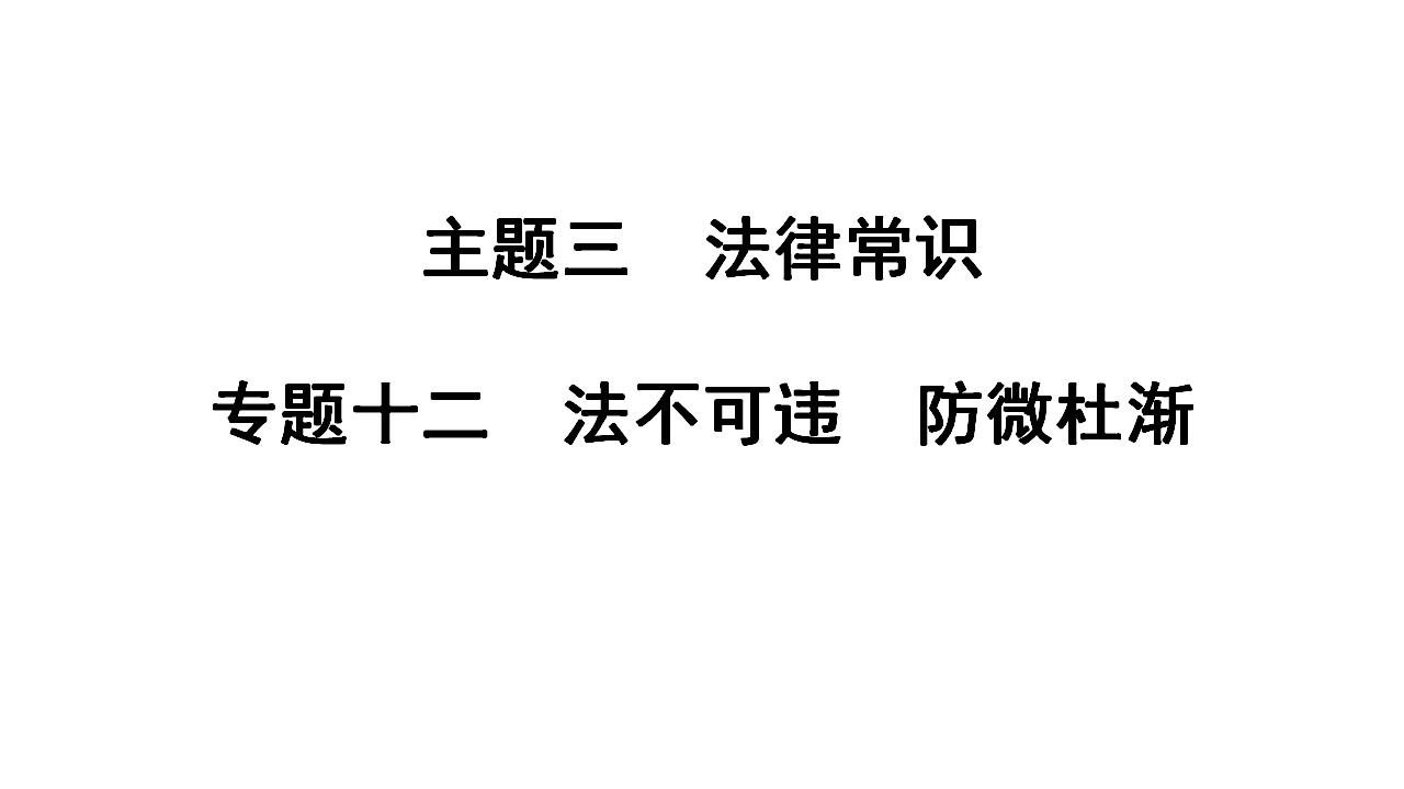 2024年广东省中考道德与法治一轮总复习课件 专题一0二  法不可违  防微杜渐