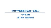 2024中考道德与法治一轮复习 友谊的天空课件