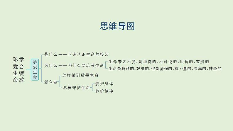 2024年中考一轮道德与法治复习课件 珍爱生命 学会绽放第2页