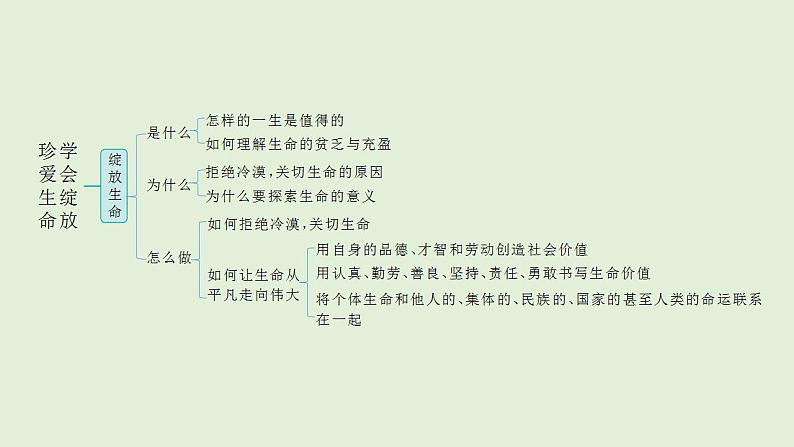 2024年中考一轮道德与法治复习课件 珍爱生命 学会绽放第3页