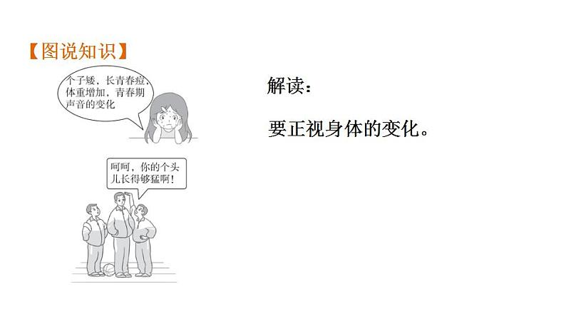 第一单元 青春时光 复习课件 2024年中考道德与法治一轮复习第4页