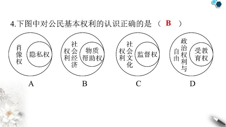 人教版八年级道德与法治下册第二单元检测卷课件05