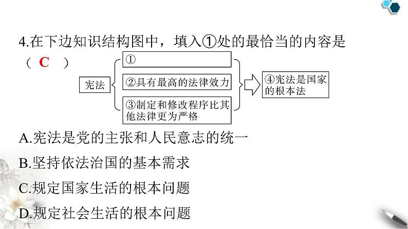 人教版八年级道德与法治下册期中检测卷课件第5页