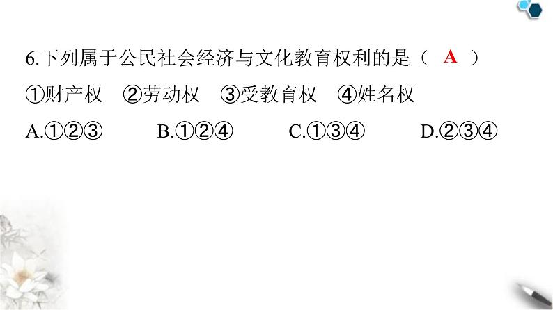 人教版八年级道德与法治下册期中检测卷课件第7页