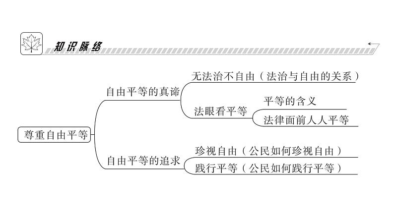 人教版八年级道德与法治下册第四单元崇尚法治精神第七课尊重自由平等第一课时自由平等的真谛课件04