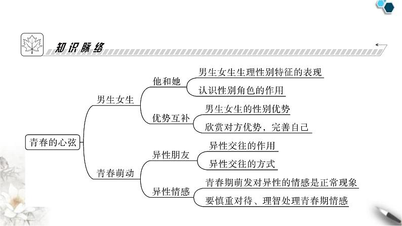 人教版七年级道德与法治下册第一单元第二课第一课时男生女生课时教学课件04