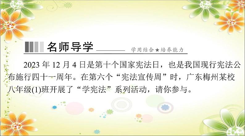 2.2 加强宪法监督 课件 ----2023-2024学年统编版道德与法治八年级下册06