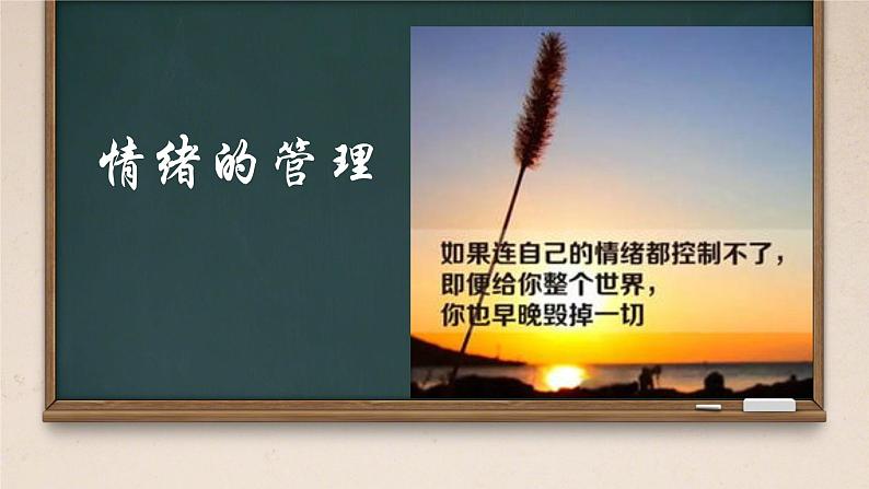 4.2 情绪的管理 课件 --2023-2024学年统编版道德与法治七年级下册第1页