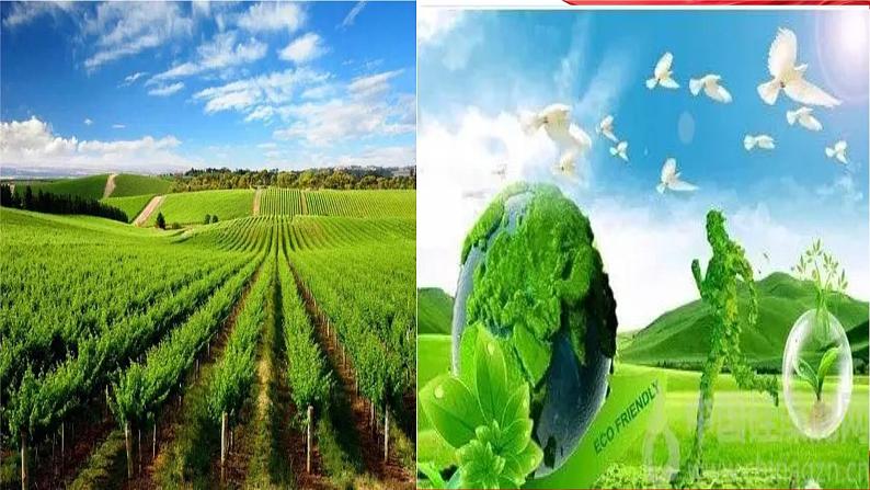 11.建设生态文明,让绿色发展成为新质生产力最靓丽的底色-2024年中考道德与法治时政热点专题复习课件第7页