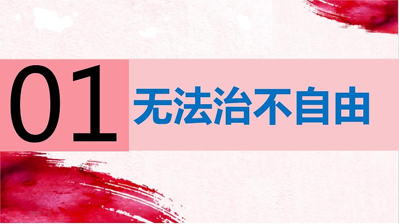 7.1自由平等的真谛 (课件) 2023-2024学年八年级道德与法治下册 (统编版) (2)第5页