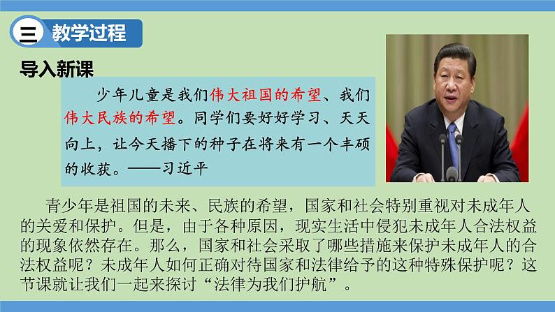 10.1 法律为我们护航 课件-2023-2024学年七年级道德与法治下册第4页