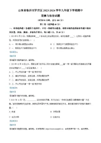 03，山东省临沂市罗庄区2023-2024学年九年级下学期期中道德与法治试题