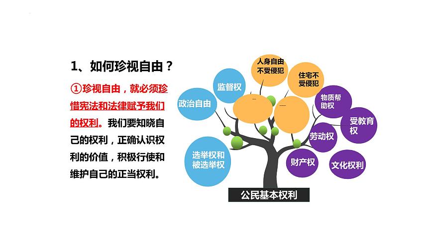 7.2 自由平等的追求   同步課件  八年級(jí)道德與法治下冊(cè) （統(tǒng)編版）第7頁(yè)