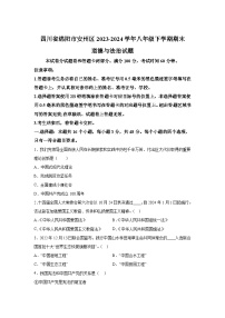 四川省綿陽市安州區(qū)2023-2024學(xué)年八年級下學(xué)期期末道德與法治試題（解析版）