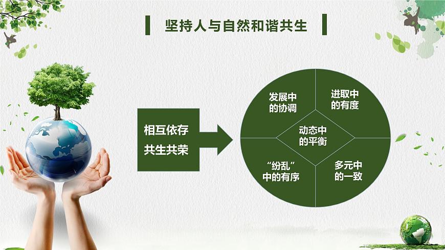 部編版九年級(jí)道德與法治上冊(cè)6.2《共筑生命家園》精美課件第6頁(yè)
