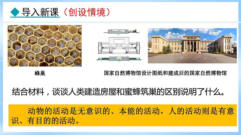 11.1 探问人生目标(课件)-2024-2025学年统编版道德与法治(2024)七年级上册03