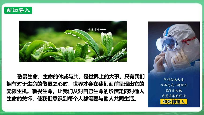 【核心素養(yǎng)】   7.8.2《敬畏生命》課件第2頁(yè)