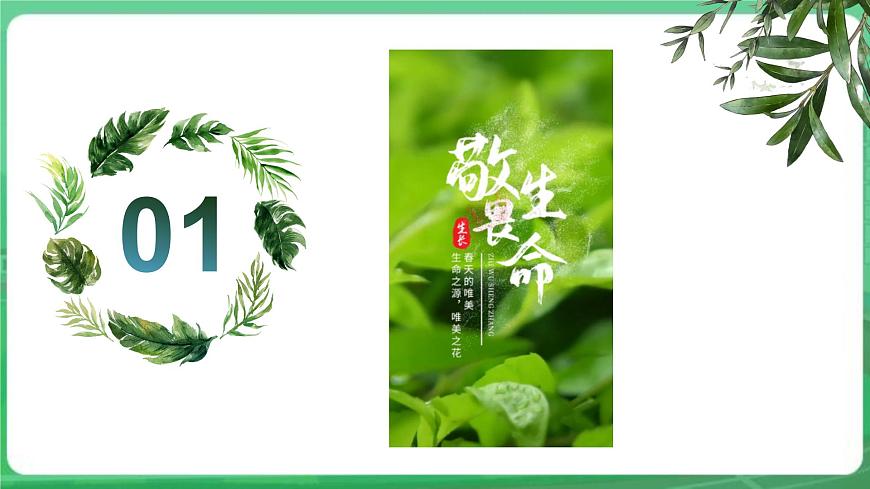【核心素養(yǎng)】   7.8.2《敬畏生命》課件第5頁(yè)