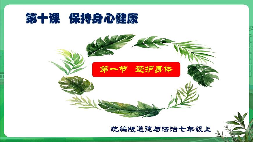 【核心素養(yǎng)】 7.10.1《愛(ài)護(hù)身體》課件第1頁(yè)