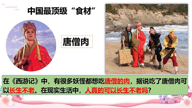 人教部编版(2024)道法七年级上册-8.1 认识生命(课件)01