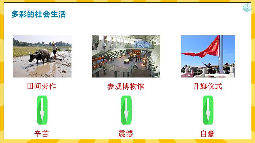 1.1我與社會(huì)第5頁(yè)