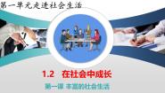 政治 (道德与法治)八年级上册在社会中成长教学ppt课件