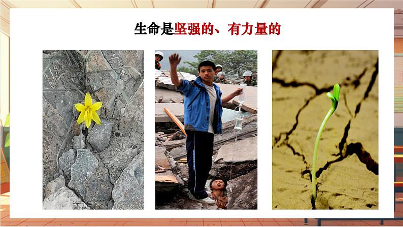 【大单元整体教学】部编版道德与法治七上8.2 敬畏生命(课件+大单元教学设计+课时教案)07