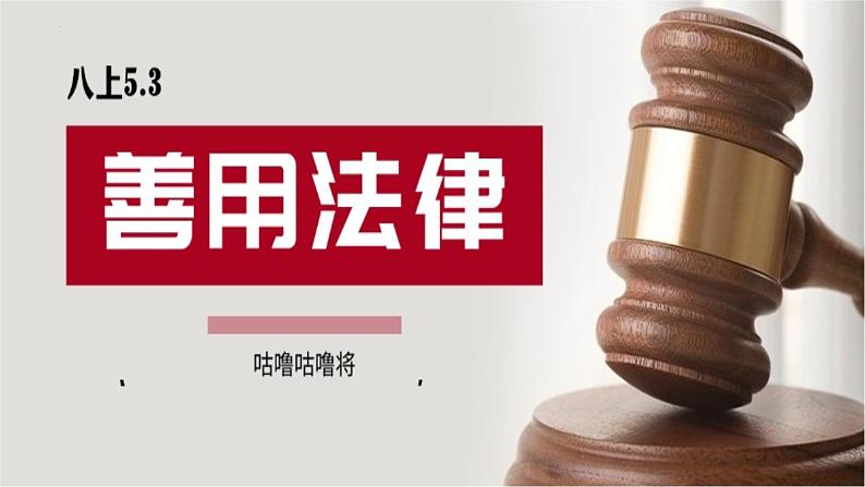5.3善用法律 课件-2024-2025学年统编版道德与法治八年级上册第1页