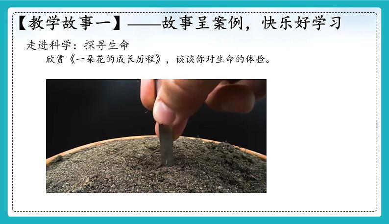 8.1 认识生命 【课件】2024-2025学年七年级上册道德与法治 统编版202404