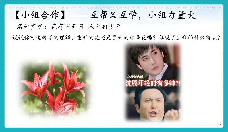 8.1 认识生命 【课件】2024-2025学年七年级上册道德与法治 统编版202406