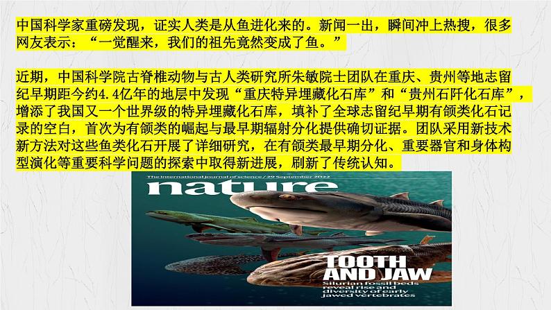 8.1 认识生命 【课件】2024-2025学年七年级 上册道德与法治 统编版2024)05