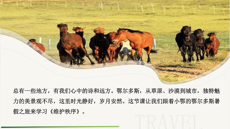 3.1 维护秩序 课件-2024-2025学年统编 版道德与法治八年级上册第1页