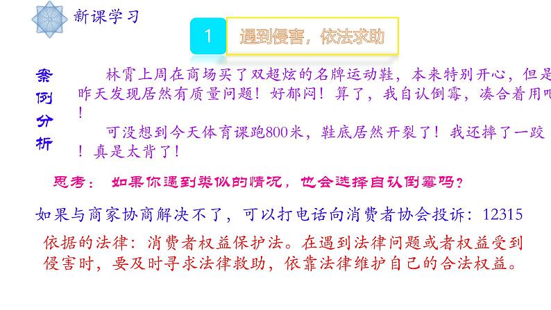 5.3 善用法律 课件- 2024-2025学年统编版道德与法治八年级上册第4页