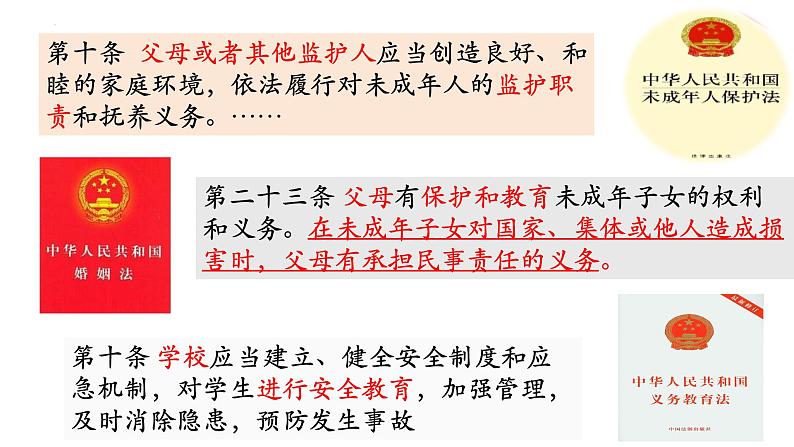 5.3 善用法律 课件-2024-2025学年统编版道德与法治八年级 上册第4页