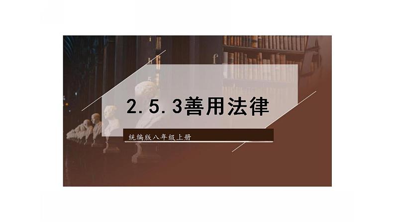 5.3 善用法律 课件-2024-2025学年统编版道德与法治八年级上 册第1页