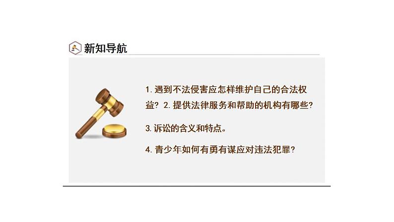 5.3 善用法律 课件-2024-2025学年统编版道德与法治八年级上 册第3页