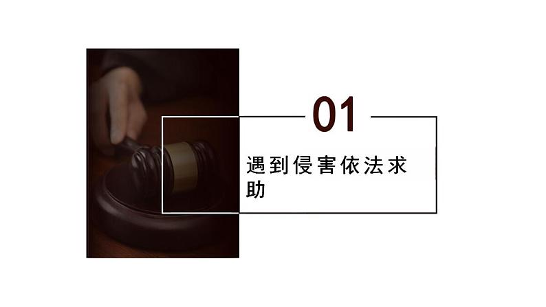 5.3 善用法律 课件-2024-2025学年统编版道德与法治八年级上 册第5页
