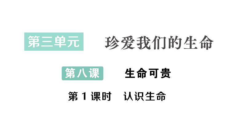 初中道德与法治新人教版七年级上册第三单元第8课第1课时《认识生命》作业课件(2024秋)01