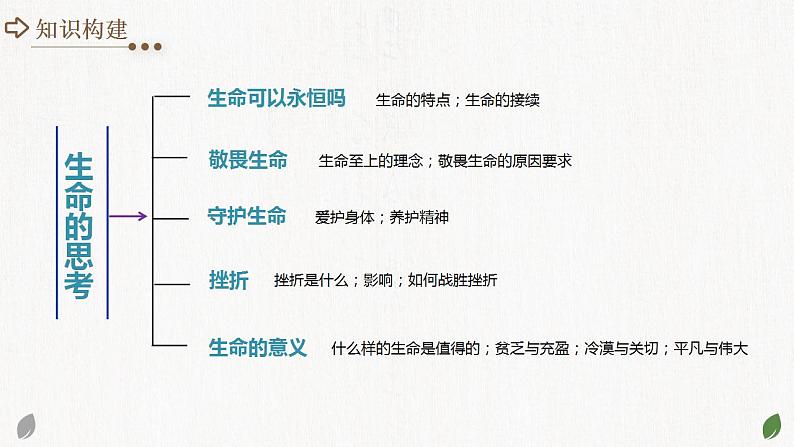专题19 生命的思考(课件)-中考道德与法治一轮复习讲练测(全国通用)第4页