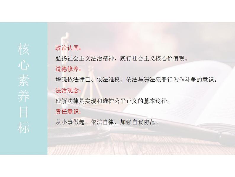 5.3 善用法律 课件-2024-2025学年统编版道德与法治八年级上册第2页