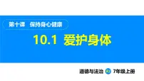 初中政治 (道德与法治)人教版(2024)七年级上册(2024)爱护身体备课ppt课件