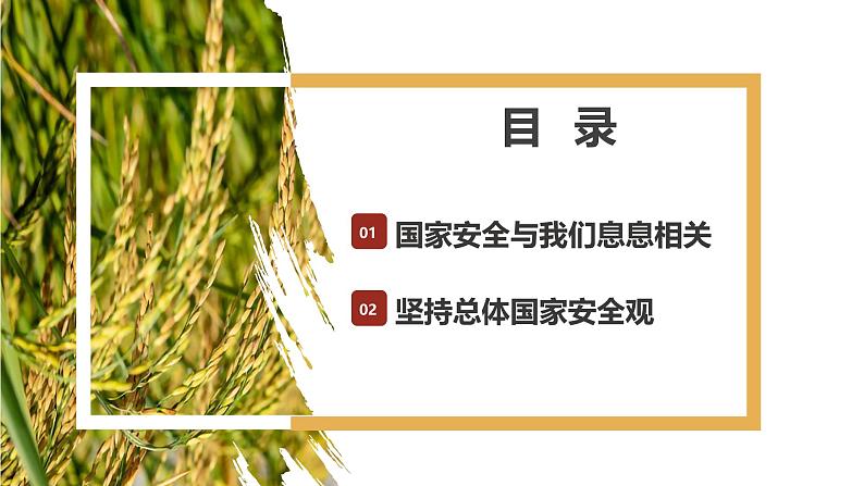 9.1认识总体国家安全观课件-2024-2025学年统编版道德与法治八年级上册第2页