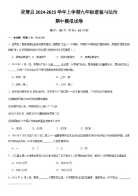 安徽省靈璧縣2024-2025學(xué)年九年級上學(xué)期期中模擬道德與法治試卷