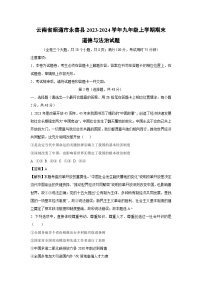 云南省昭通市永善县2023-2024学年九年级上学期期末道德与法治试卷(解析版)