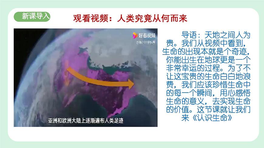 8.1《認識生命》2024-2025學年七年級道德與法治課件第3頁