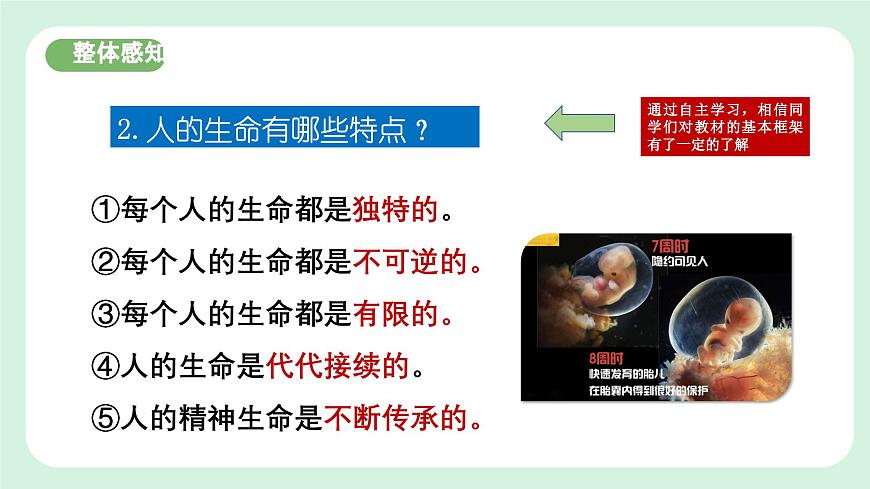 8.1《認識生命》2024-2025學年七年級道德與法治課件第7頁