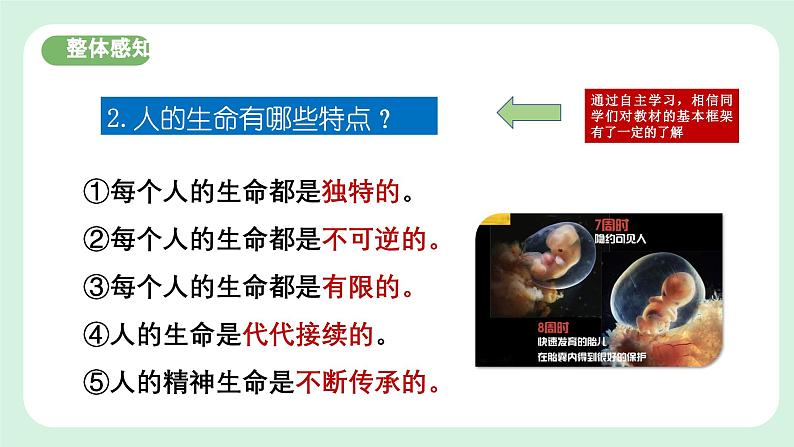 8.1《认识生命》2024-2025学年七年级道德与法治课件第7页
