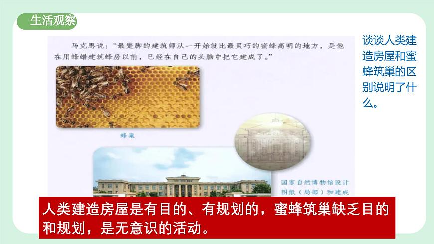 11.1《探問人生目標》2024-2025學年七年級道德與法治課件第6頁