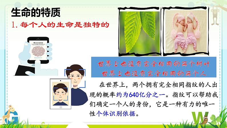 初中 道德与法治人教版2024七年级上册 第三单元 珍爱我们的生命 第八课 生命可贵认识生命 课件第5页