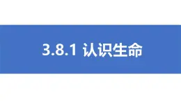 初中 道德与法治人教版2024七年级上册  第三单元 珍爱我们的生命  第八课 生命可贵认识生命 课件